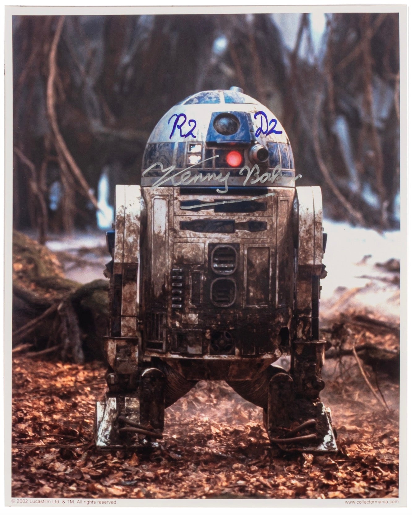 Kenny Baker Star Wars R2-D2 Autographed Signed 8x10 Photo AMCo COA