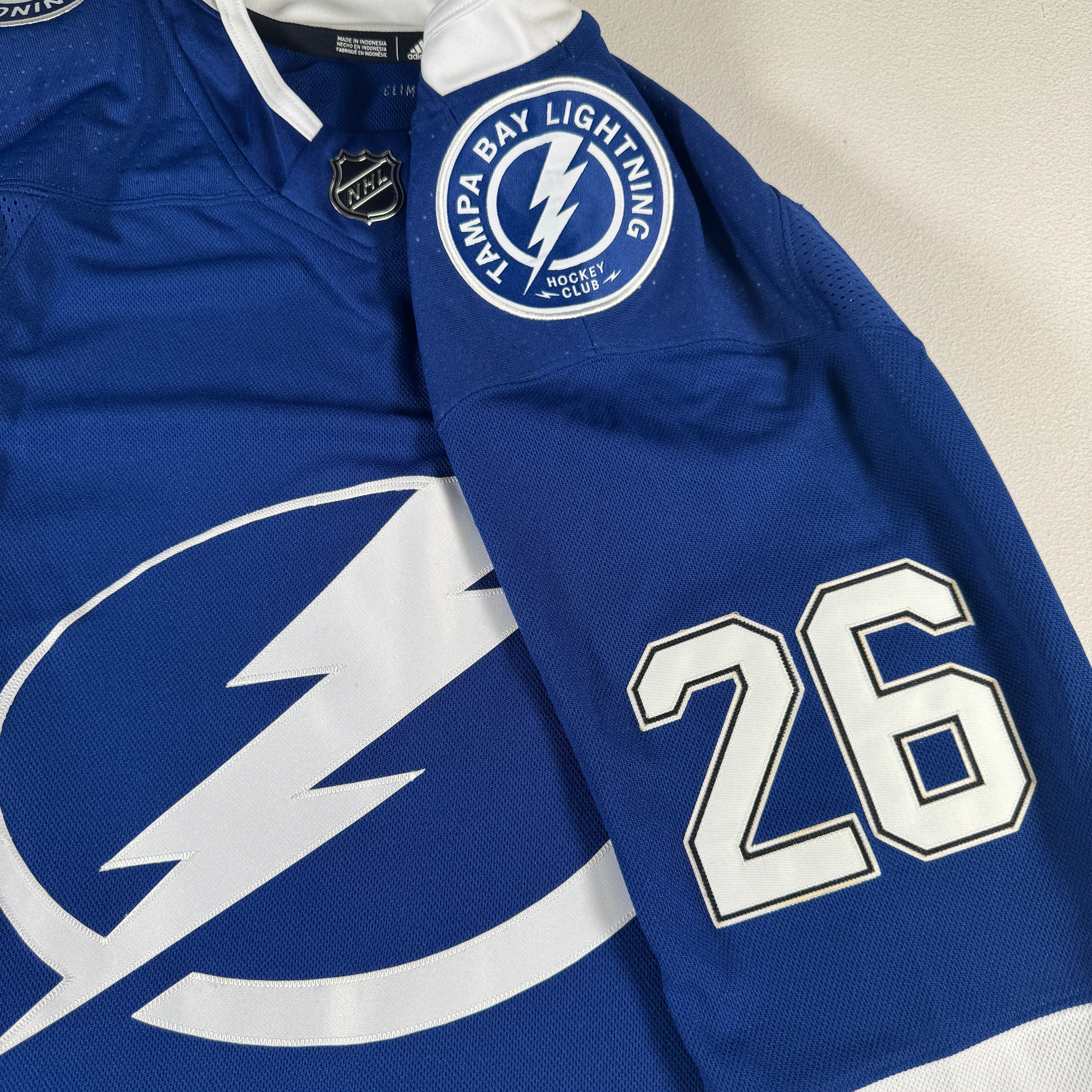 Martin St. Louis Tampa Bay Lightning Autographed Signed Jersey Frameworth COA