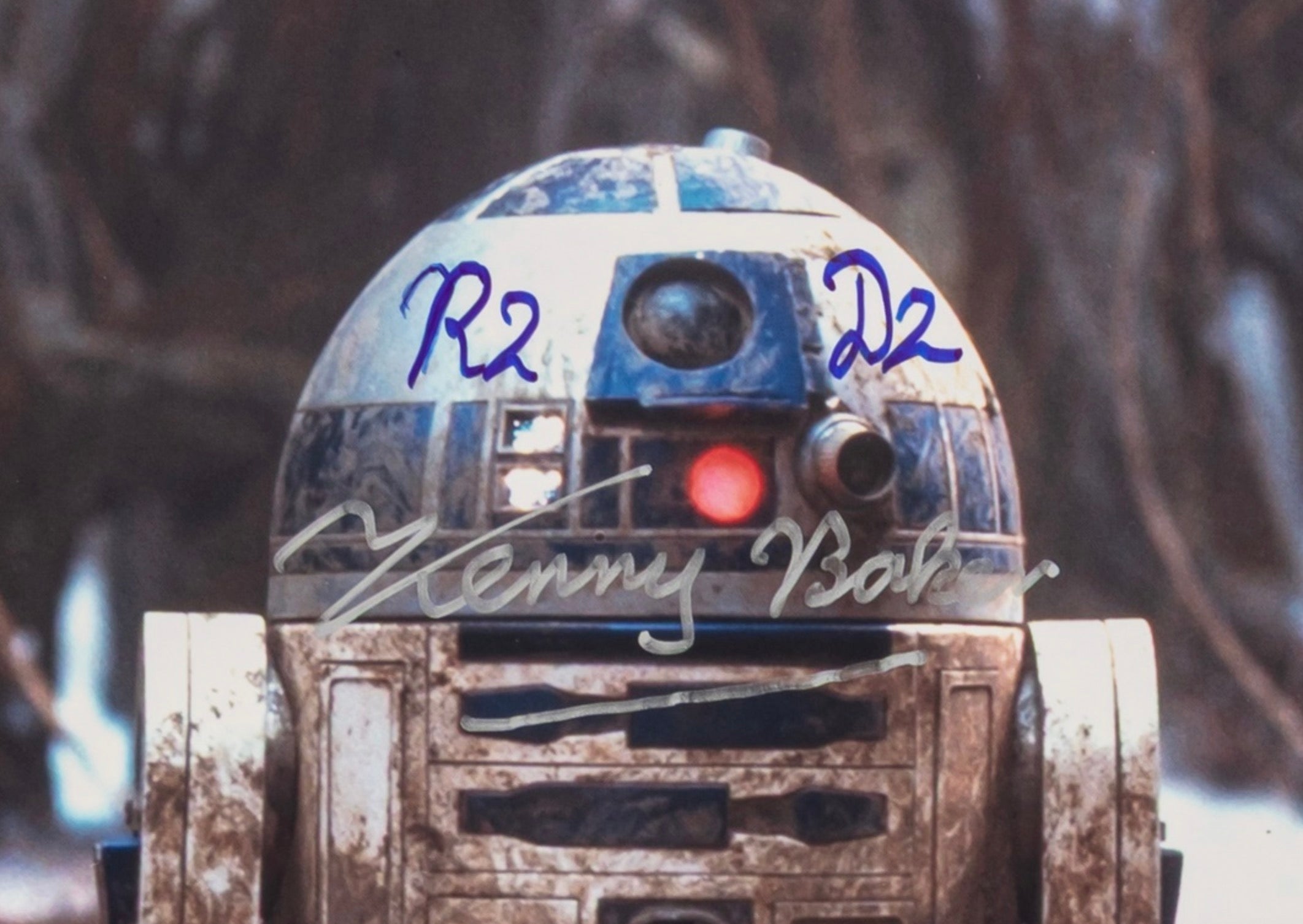 Kenny Baker Star Wars R2-D2 Autographed Signed 8x10 Photo AMCo COA