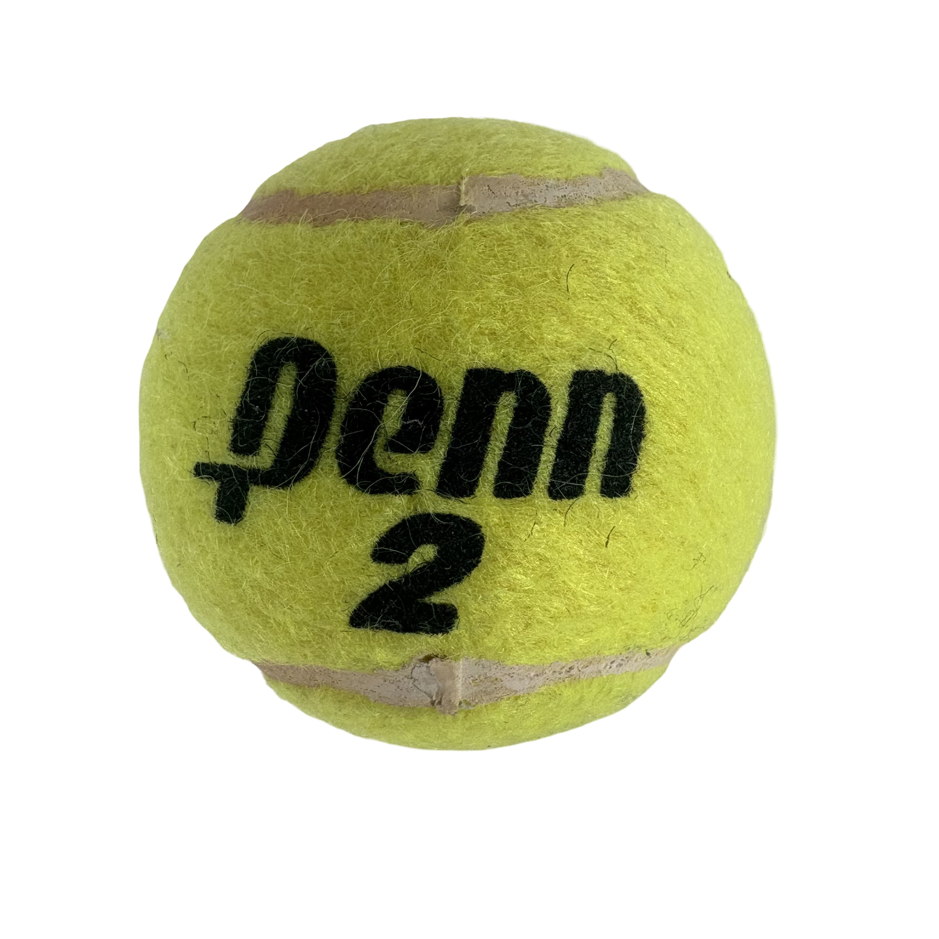 Chris Evert Tennis Star Autographed Signed Tennis Ball AMCo COA